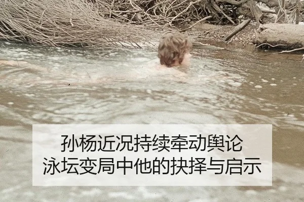 孙杨近况持续牵动舆论 泳坛变局中他的抉择与启示
